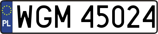 WGM45024