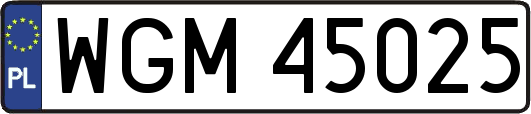 WGM45025