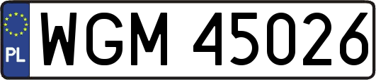 WGM45026