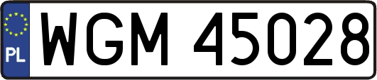 WGM45028