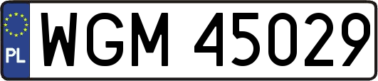 WGM45029