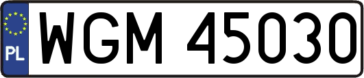 WGM45030