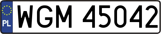 WGM45042
