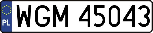 WGM45043