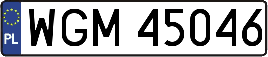WGM45046