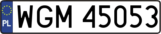 WGM45053