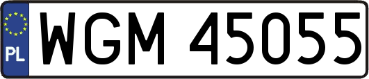 WGM45055