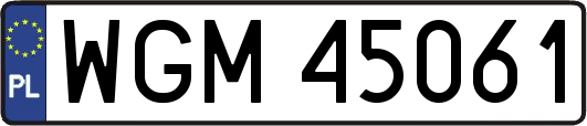 WGM45061