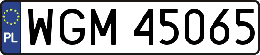 WGM45065