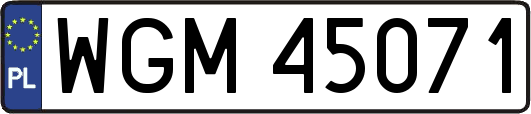 WGM45071