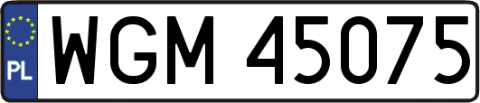 WGM45075
