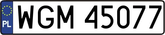 WGM45077