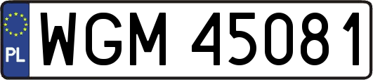 WGM45081
