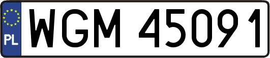 WGM45091