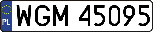 WGM45095