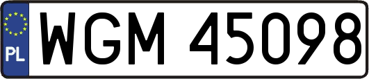 WGM45098