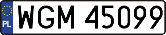 WGM45099