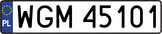 WGM45101