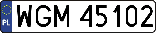 WGM45102