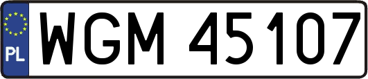 WGM45107