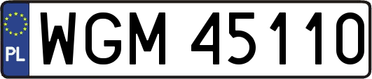 WGM45110