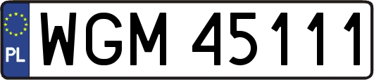 WGM45111