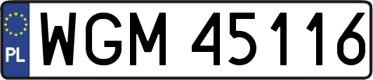 WGM45116