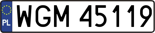 WGM45119