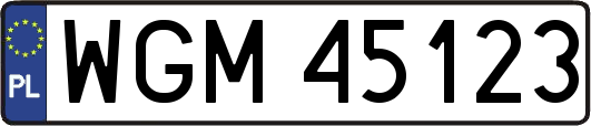 WGM45123