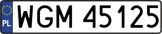 WGM45125