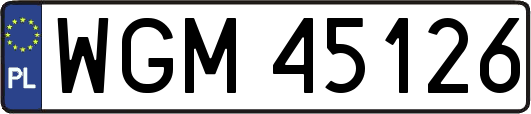 WGM45126