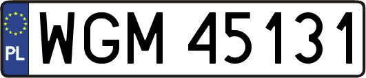 WGM45131