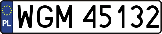 WGM45132