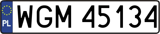 WGM45134
