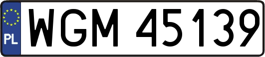 WGM45139