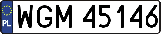 WGM45146