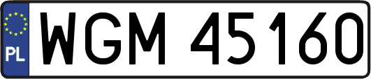 WGM45160