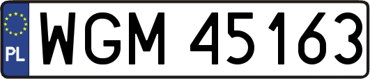 WGM45163