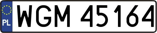 WGM45164