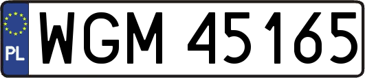 WGM45165