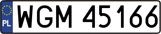 WGM45166