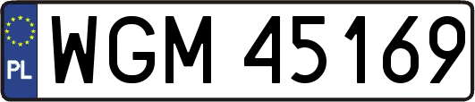 WGM45169