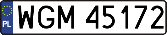 WGM45172