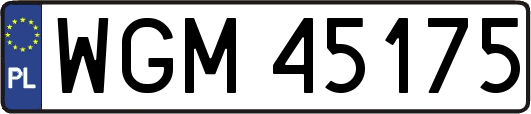 WGM45175