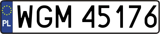 WGM45176