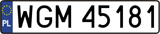 WGM45181