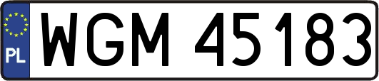 WGM45183