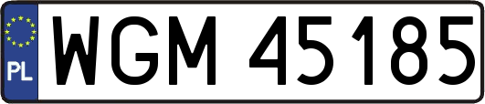 WGM45185