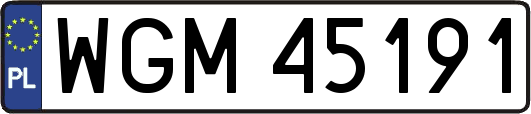WGM45191
