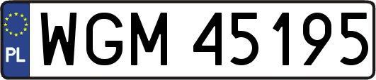 WGM45195